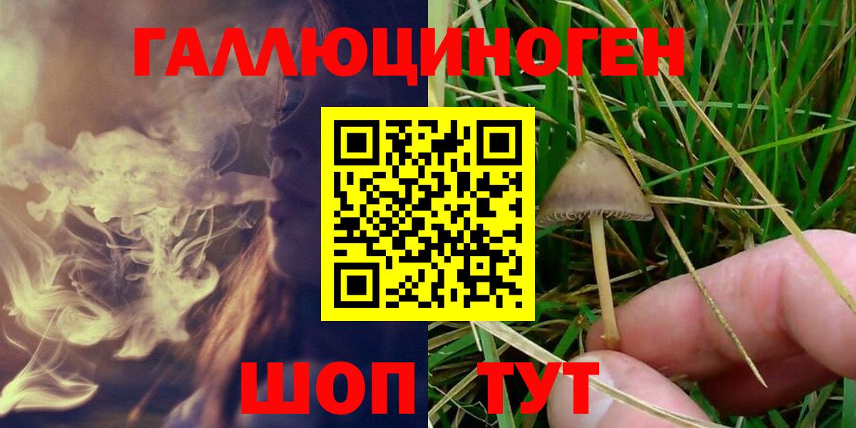 Галлюциногенные грибы MAGIC MUSHROOMS Родники
